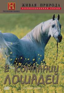 Исторические исследования: В компании лошадей/Special presentation: In the Company of Horses