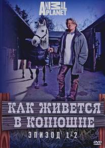 Как живется в конюшне/A Stable Life