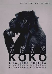 Коко, говорящая горилла/Koko, le gorille qui parle (1978)