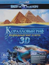 Коралловый риф 3D: Подводный мир Египта/Abenteuer Korallenriff
