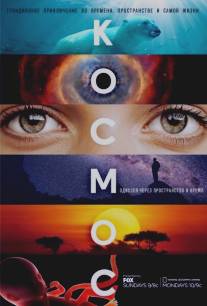 Космос: Пространство и время/Cosmos: A SpaceTime Odyssey (2014)