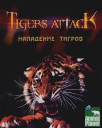 Нападение тигров/Tigers Attack