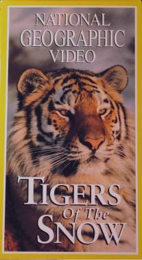 НГО: Сибирские тигры/Tigers of the Snow (1997)