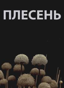 Плесень/Plesen (2009)