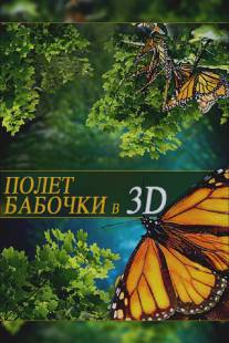 Полет бабочки 3D/Flight of the Monarch Butterfly 3D (2012)