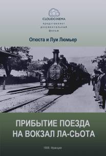 Прибытие поезда на вокзал города Ла-Сьота/Arrivee d'un train a la Ciotat, L'