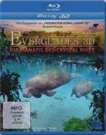Приключение в Эверглэйдс/Abenteuer Everglades