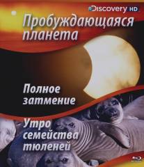 Пробуждающаяся планета/Sunrise Earth (2004)