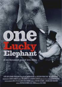 Счастливая слониха/One Lucky Elephant