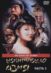 Шокирующая Азия 3/Shocking Asia III: After Dark (1995)