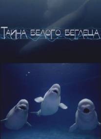 Тайна белого беглеца/Tayna belogo begletsa (2012)