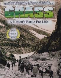 Трава: Битва народа за выживание/Grass: A Nation's Battle for Life (1925)