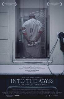 В бездну: Повесть о жизни, повесть о смерти/Into the Abyss (2011)