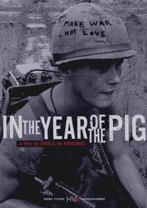 В год свиньи/In the Year of the Pig