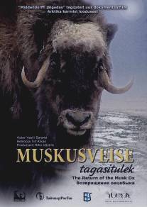 Возвращение овцебыка/Muskusveise tagasitulek (2008)