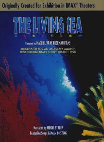 Живой океан/Living Sea, The (1995)