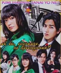 А вы, случайно, не преступник?/Kimi hannin ja naiyo ne? (2008)