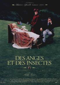 Ангелы и насекомые/Angels and Insects (1995)