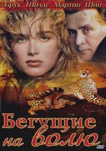 Бегущие на волю/Running Wild (1995)