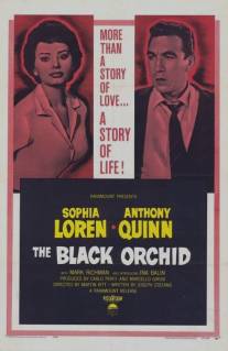 Черная орхидея/Black Orchid, The (1958)
