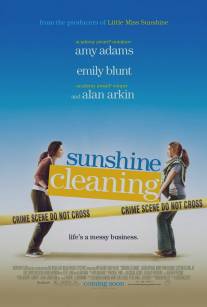 Чистка до блеска/Sunshine Cleaning (2008)