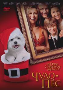 Чудо-пес/My Dog's Christmas Miracle (2011)