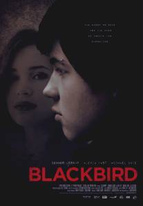 Чёрный дрозд/Blackbird (2012)