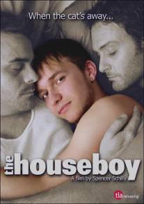 Домашний мальчик/Houseboy, The