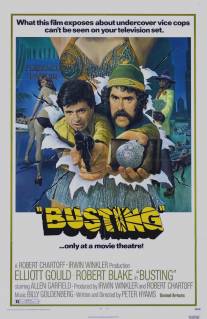 Ещё один арест/Busting (1974)