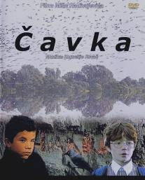 Галка/Cavka (1988)