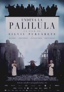 Где-то в Палилула/Undeva la Palilula (2012)