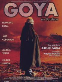 Гойя в Бордо/Goya en Burdeos (1999)