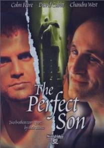 Идеальный сын/Perfect Son, The