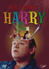 История о Гарри/Wild About Harry (2000)