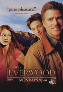 Любовь вдовца/Everwood (2002)