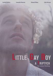 Маленький мальчик-гей/Little Gay Boy (2013)