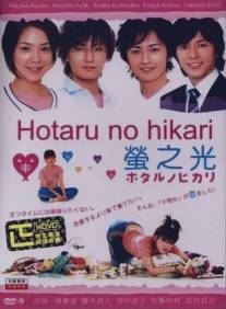 Мерцание светлячков/Hotaru no hikari (2007)