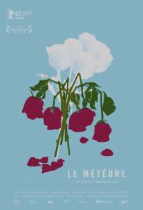 Метеор/Le meteore (2013)