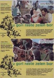 Назови пароль!/U gori raste zelen bor (1971)