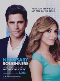 Необходимая жестокость/Necessary Roughness