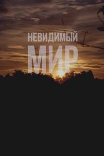 Невидимый мир/Mundo Invisivel (2012)