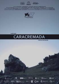 Обожженное лицо/Caracremada (2010)