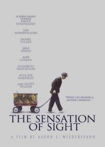 Ощущение видения/Sensation of Sight, The (2006)
