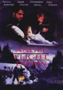 Падение борта `Ангел`/Angel Flight Down