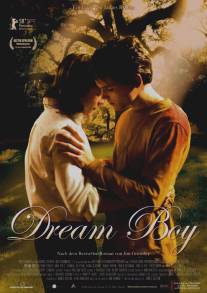 Парень мечты/Dream Boy (2008)