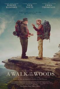 Прогулка по лесам/A Walk in the Woods (2015)