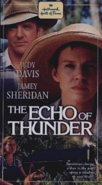 Раскаты грома/Echo of Thunder, The (1998)