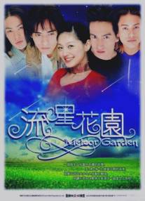 Сад падающих звезд/Liu xing hua yuan (2001)
