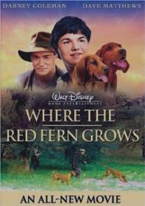 Цветок красного папоротника/Where the Red Fern Grows (2003)