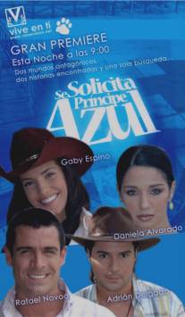 В поисках идеального мужчины/Se solicita principe azul (2005)